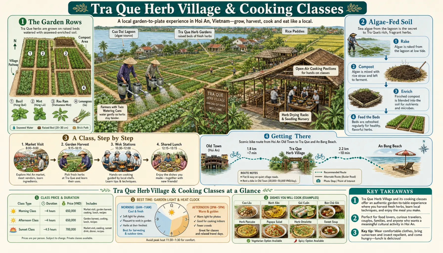 Travel infographic guide poster: Tra Que Herb Village & Cooking Classes in Hoi An