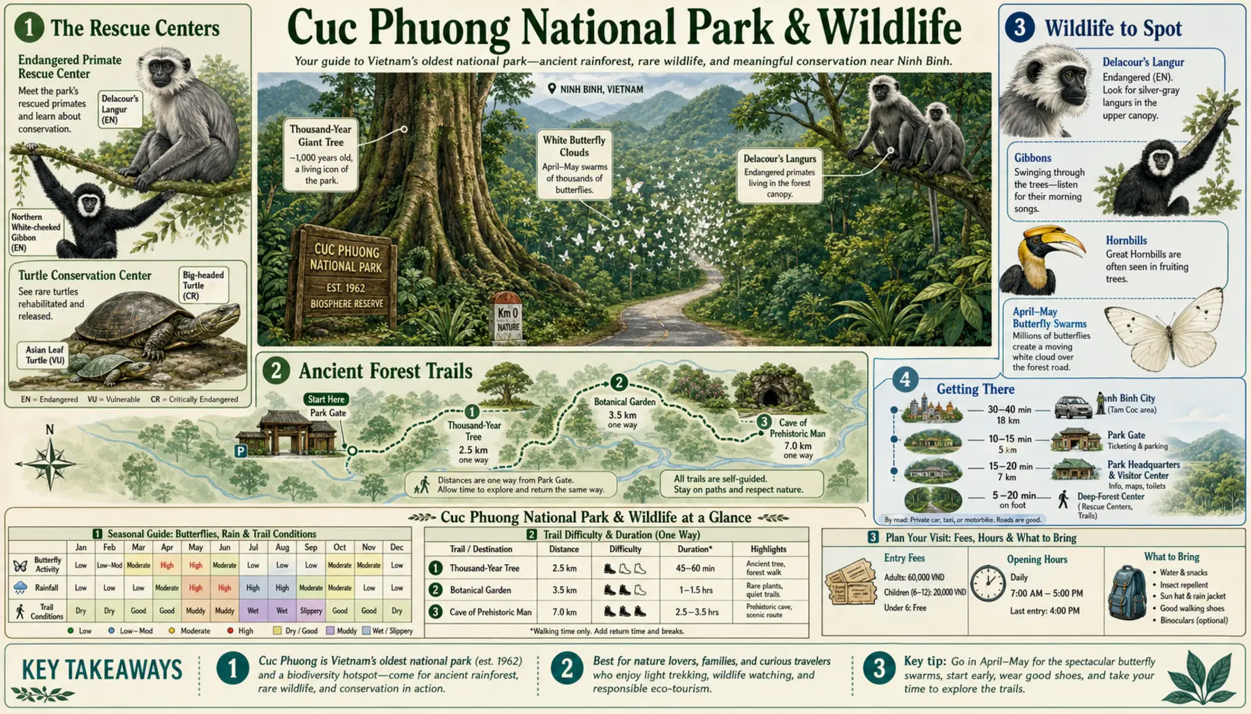 Travel infographic guide poster: Cuc Phuong National Park & Wildlife in Ninh Binh