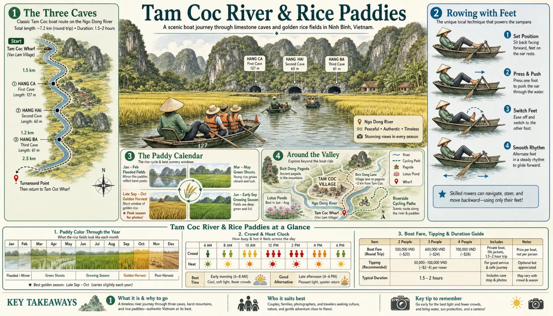 Travel infographic guide poster: Tam Coc River & Rice Paddies in Ninh Binh
