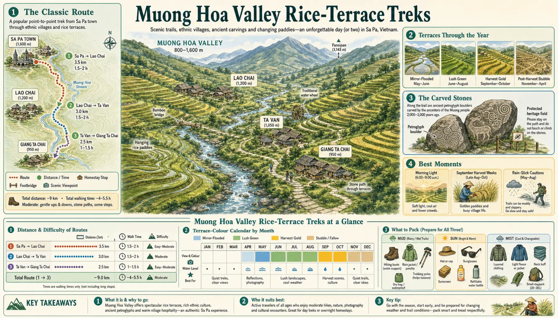 Travel infographic guide poster: Muong Hoa Valley Rice-Terrace Treks in Sa Pa